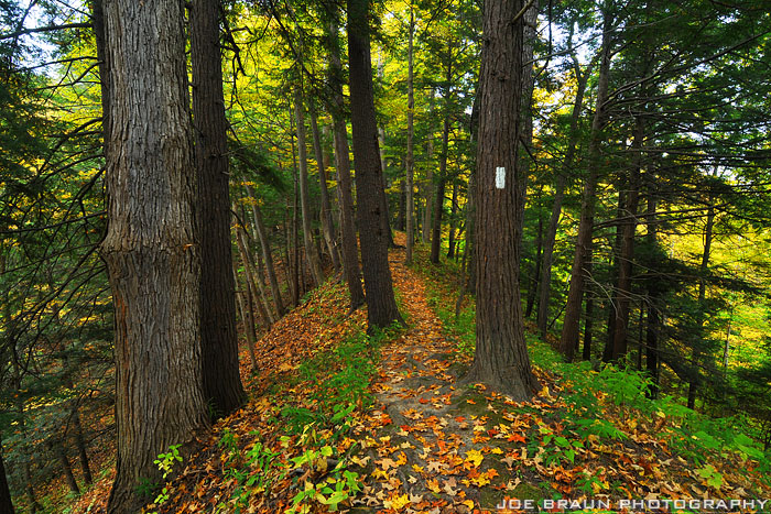 Sweedler Preserve at Lick Brook (The Finger Lakes) -- &copy; 2009 Joe Braun Photography