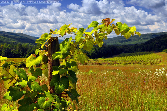 Naples, New York (The Finger Lakes) -- &copy; 2008 Joe Braun Photography