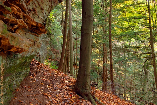 Hocking State Forest (Hocking Hills) &copy; 2007 Joe Braun Photography