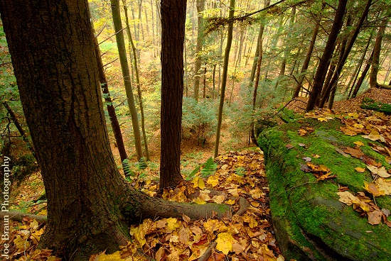 Hocking State Forest (Hocking Hills) &copy; 2007 Joe Braun Photography