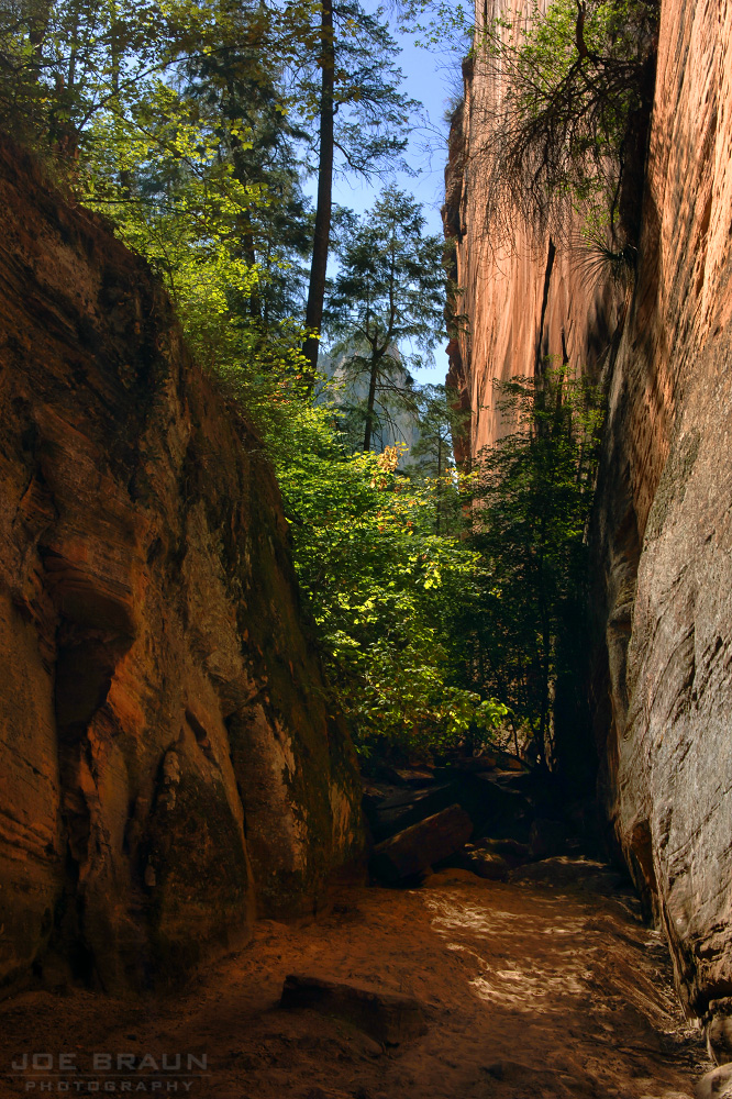 Hidden Canyon photo (Zion National Park) -- &copy; 2006 Joe Braun Photography