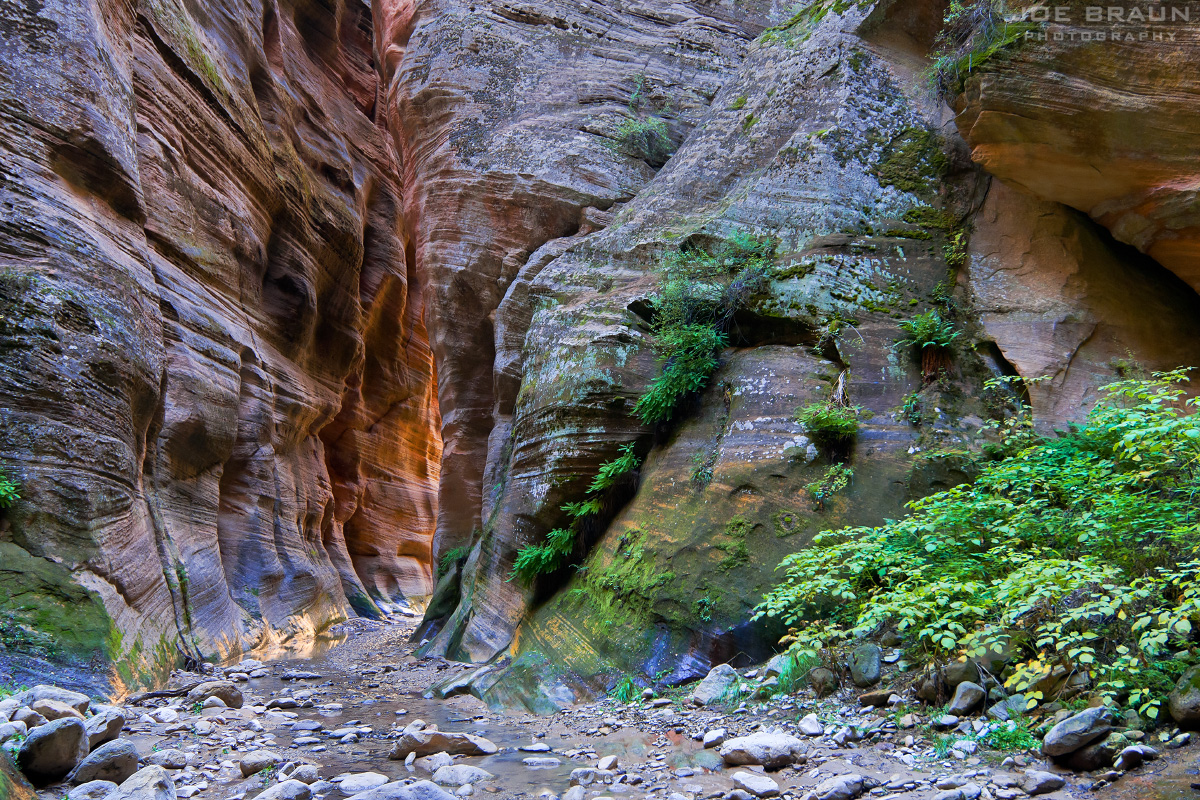Orderville Canyon photo (Zion National Park) -- &copy; 2010 Joe Braun Photography