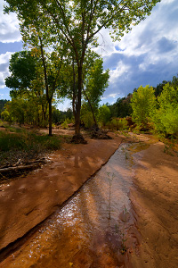 Coalpits Wash