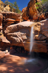 Scoggins Wash