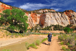 The Barracks (Upper Parunuweap Canyon)