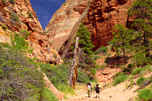 Bridge Mountain Arch route