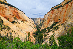 Checkerboard Mesa