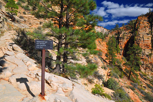 The East Rim Trail