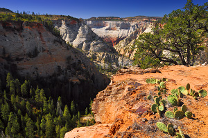 East Rim Trail
