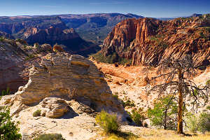 Gifford Canyon