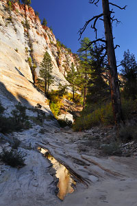 Jolley Gulch