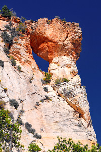 Jughandle Arch
