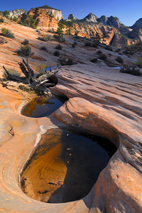 Many Pools, Zion National Park