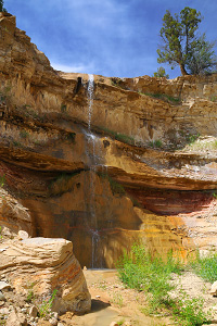 Meadow Creek and Mineral Gulch