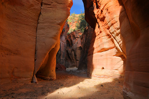 Meadow Creek and Mineral Gulch