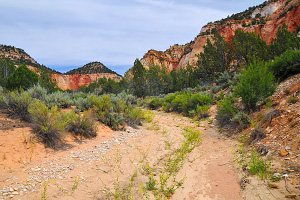 Meadow Creek and Mineral Gulch