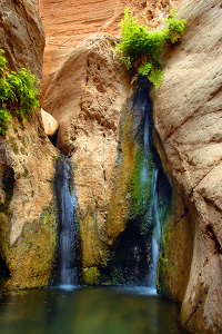 Misery Canyon