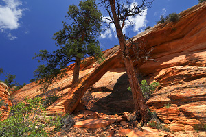Progeny Peak and Two-Pines Arch