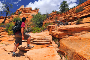 Angels Landing Trail