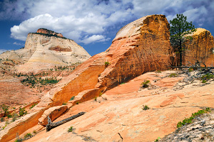 Progeny Peak and Two-Pines Arch