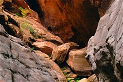 Shelf Canyon