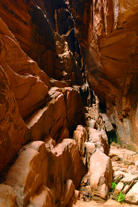 Canyon Overlook Trail