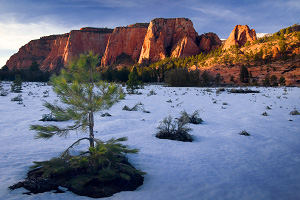 Jobs Head in winter