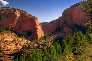 Beartrap Canyon Loop