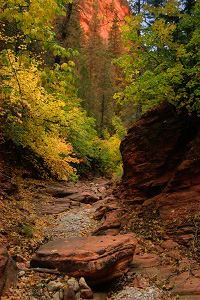 Beartrap Canyon Loop