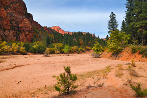 Hop Valley Trail