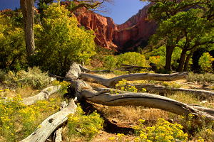La Verkin Creek Trail