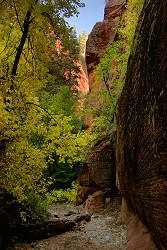 Willis Creek, Zion