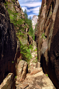 Hidden Canyon