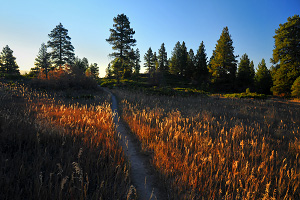 The West Rim Trail