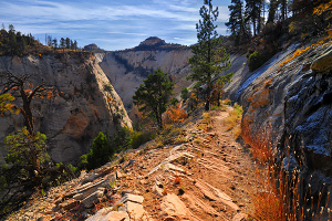 The West Rim Trail