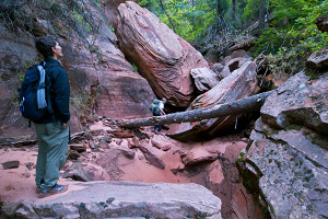 Langston Canyon and Langston Mountain