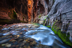 Zion Narrows day hike