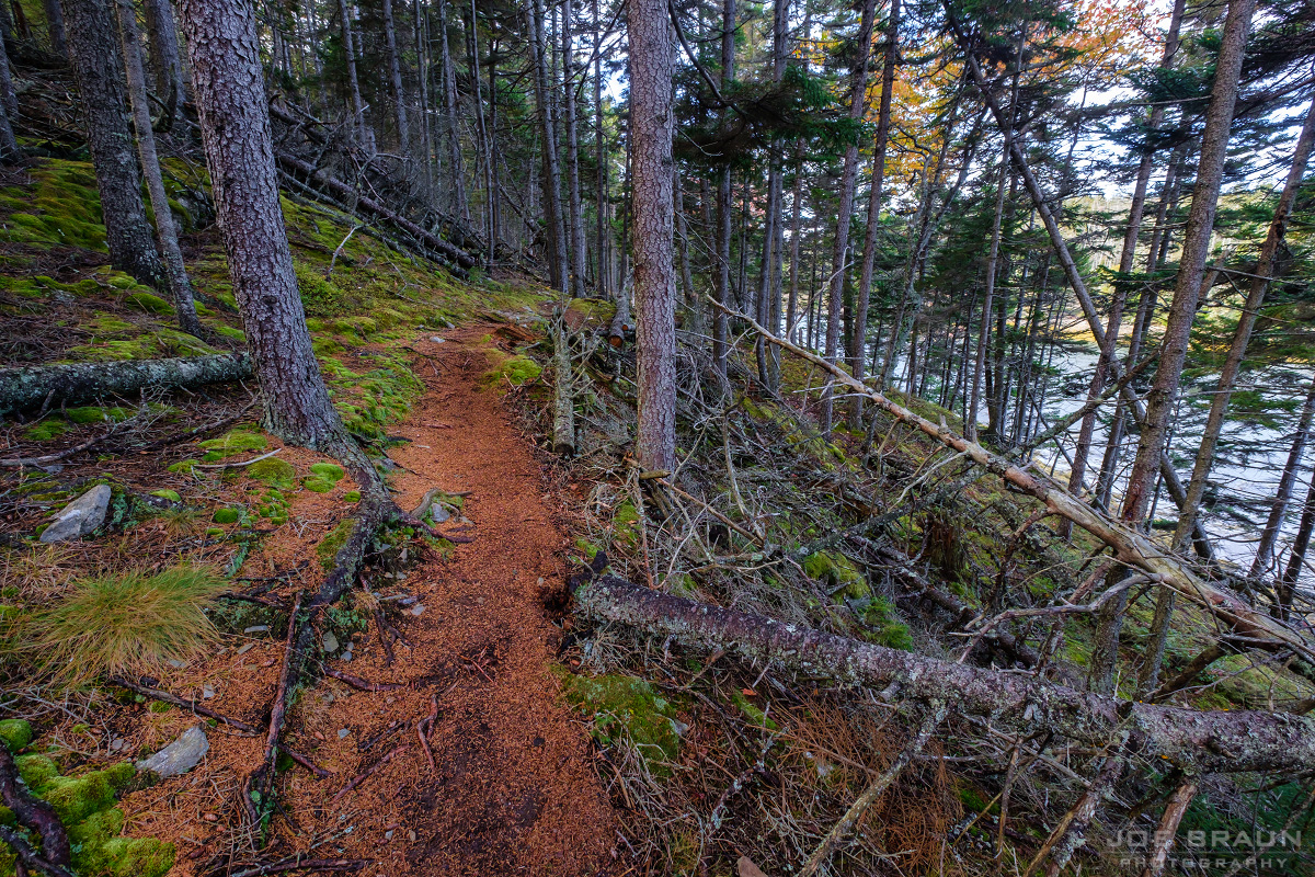 Duck Harbor Trail photo (Acadia National Park) -- © 2016 Joe Braun Photography