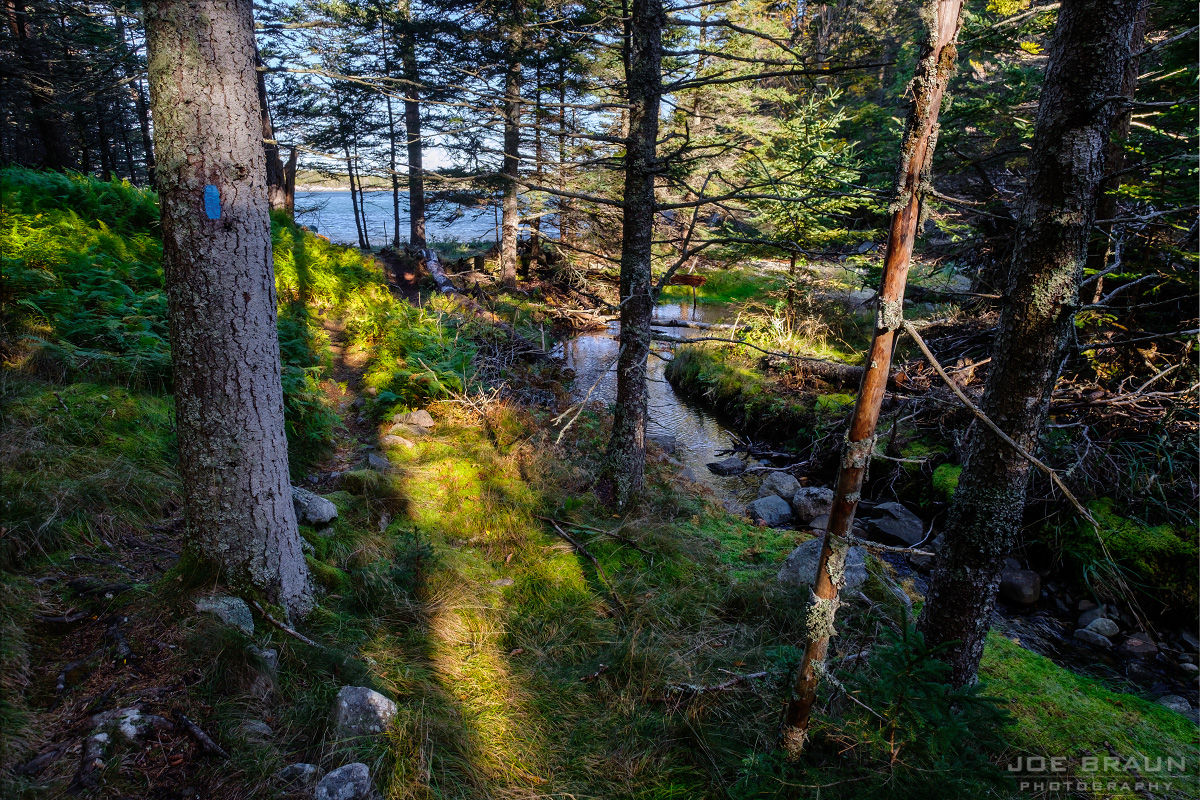 Duck Harbor Trail photo (Acadia National Park) -- © 2016 Joe Braun Photography