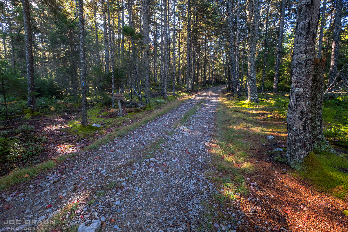 Duck Harbor Trail via West Ridge Trail photo (Acadia National Park) -- © 2013 Joe Braun Photography