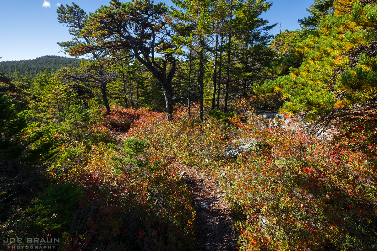 Duck Harbor Trail via West Ridge Trail photo (Acadia National Park) -- © 2013 Joe Braun Photography