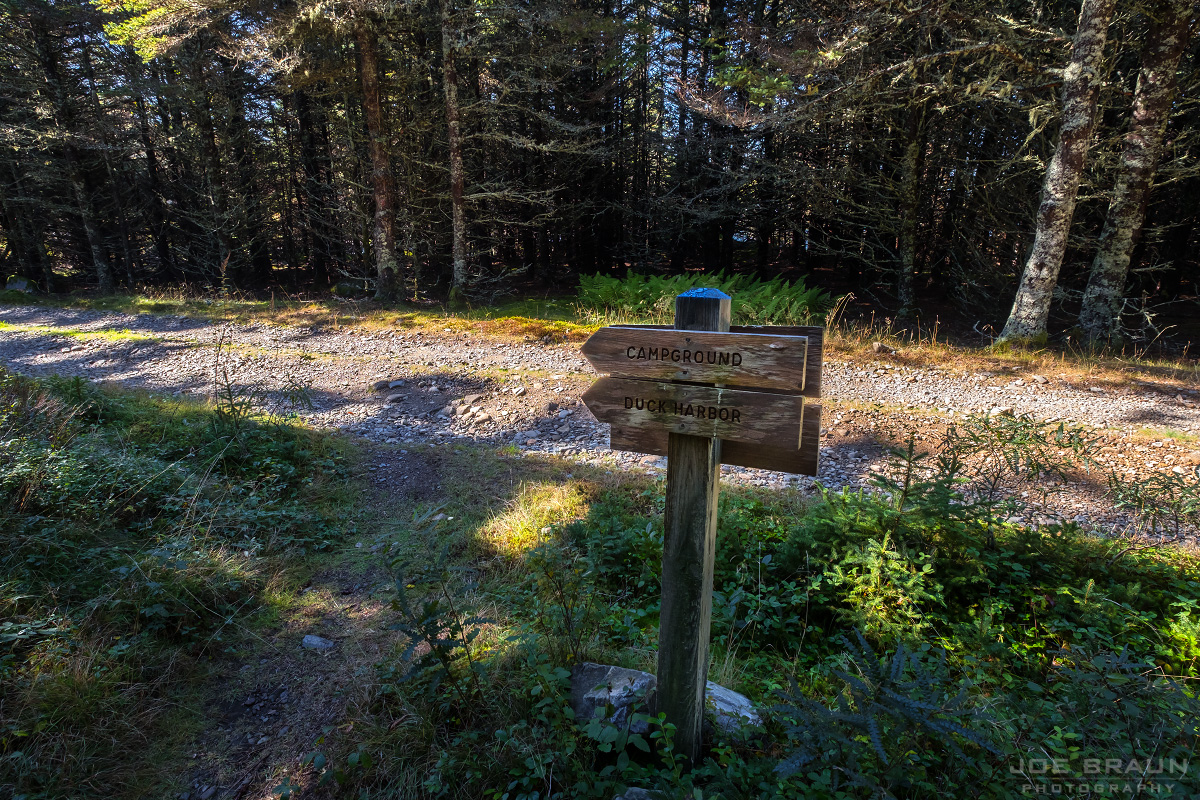 Duck Harbor Trail via West Ridge Trail photo (Acadia National Park) -- © 2013 Joe Braun Photography
