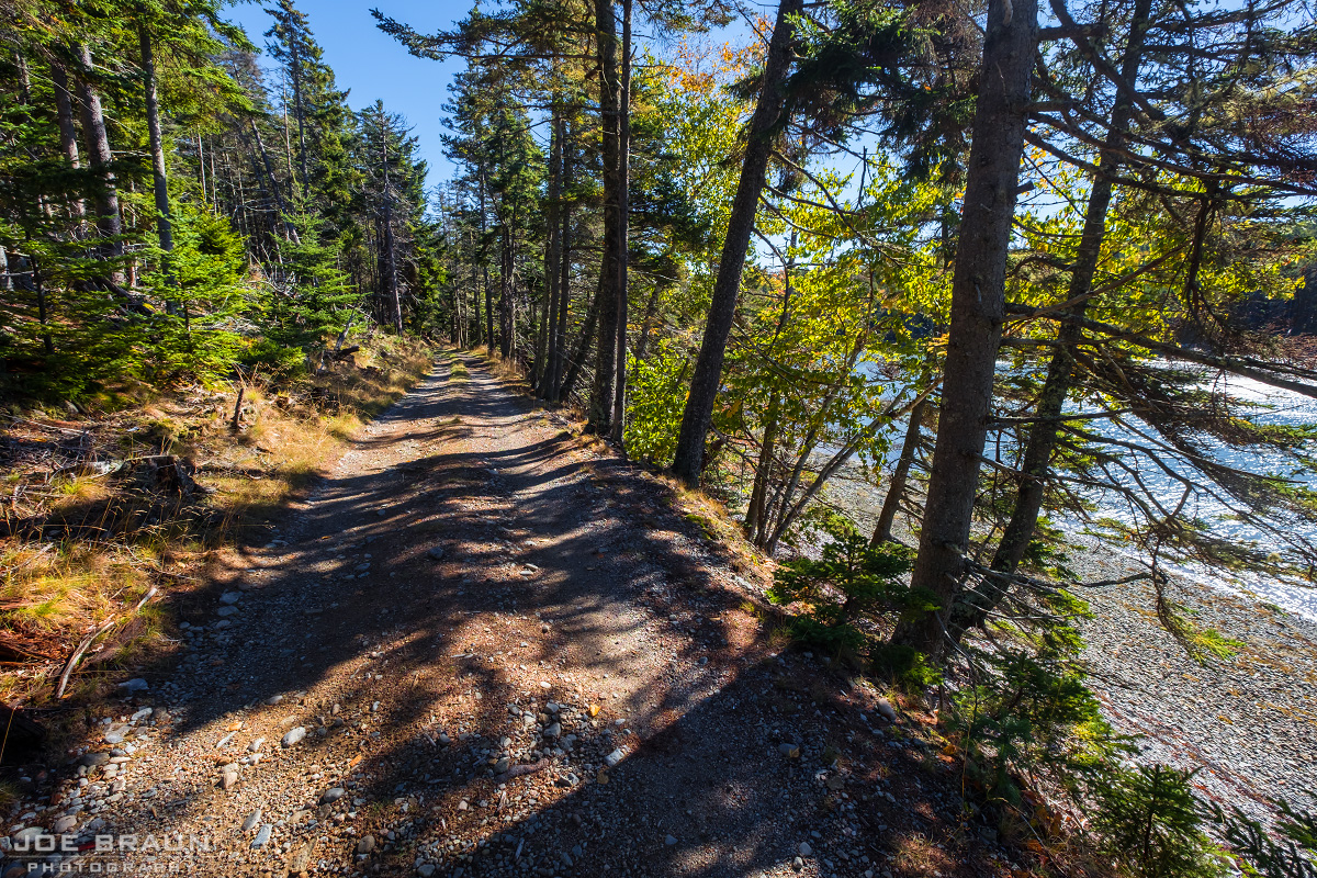 Duck Harbor Trail via West Ridge Trail photo (Acadia National Park) -- © 2013 Joe Braun Photography