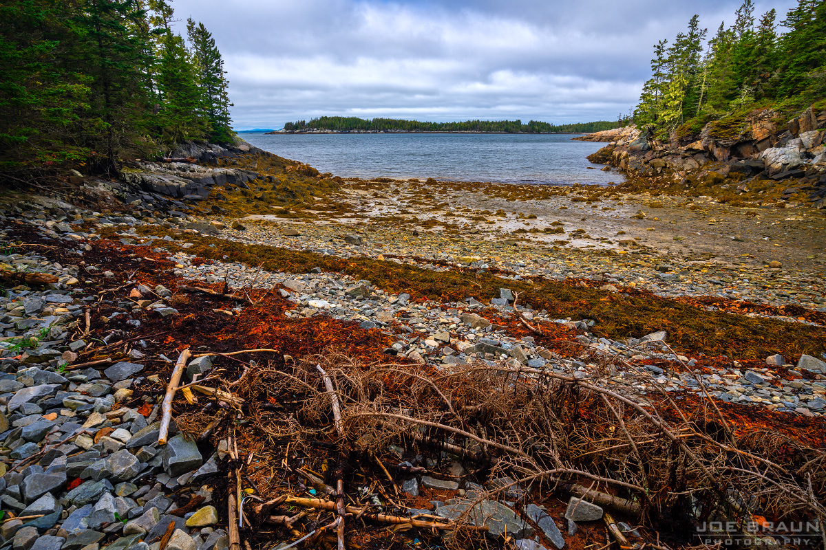 Duck Harbor Trail photo (Acadia National Park) -- © 2018 Joe Braun Photography
