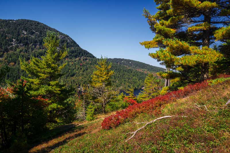 Beech Mountain via West Ridge Trail (Acadia National Park)