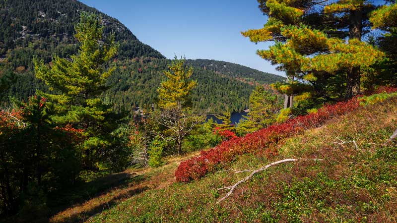 Beech Mountain via West Ridge Trail (Acadia National Park)