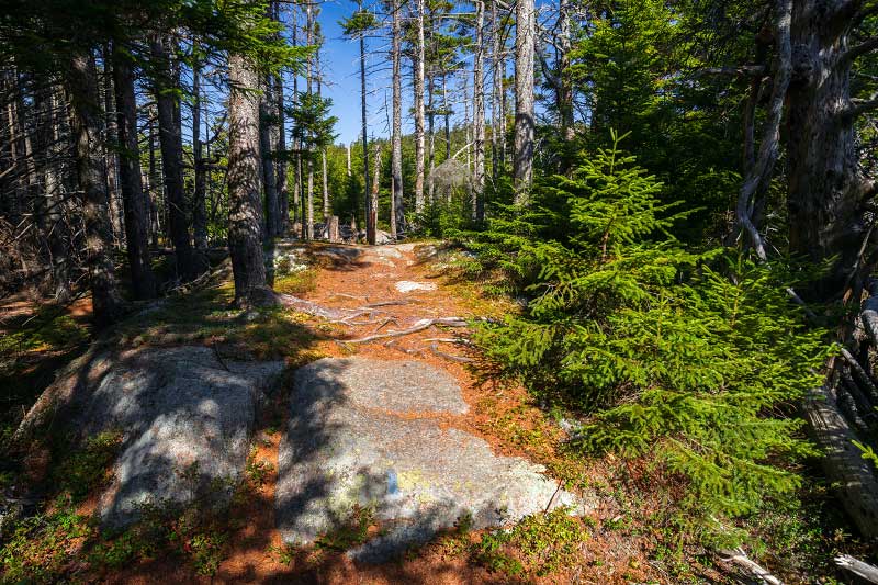 Bernard Mountain Trail (Acadia National Park)