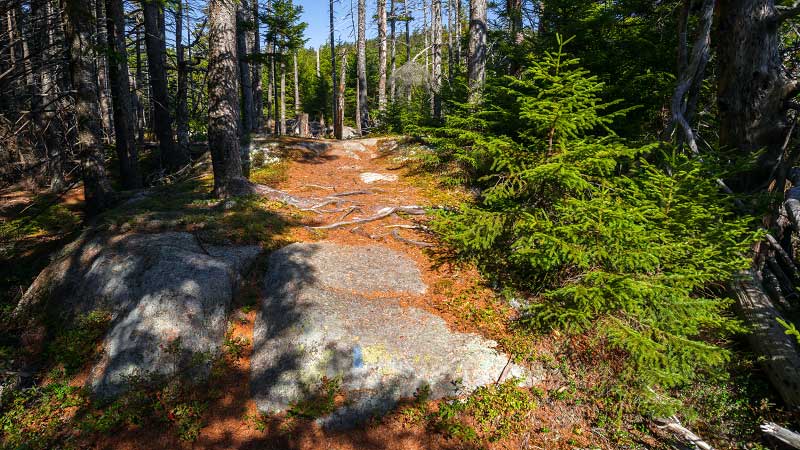 Bernard Mountain Trail (Acadia National Park)