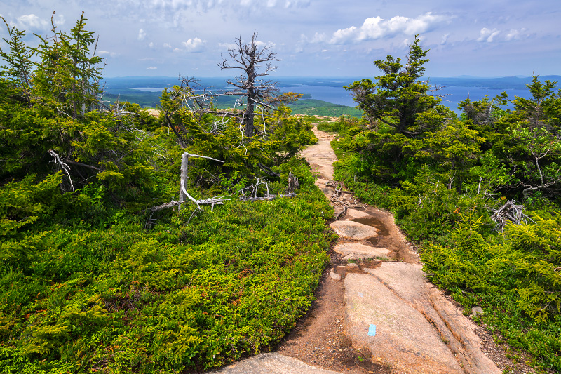 Cadillac North Ridge Trail (Acadia National Park)