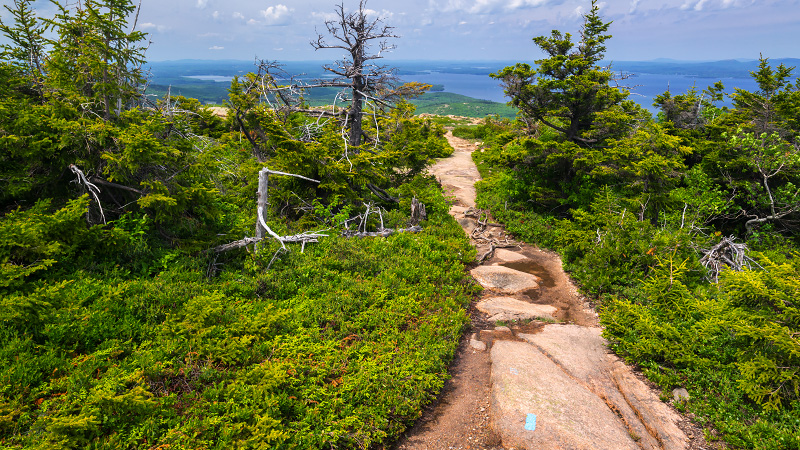 Cadillac North Ridge Trail (Acadia National Park)